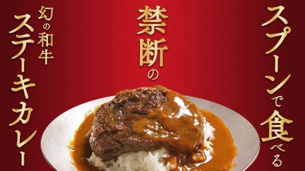 希少な土佐あかうしカレー 3食セット 和牛カレー 和牛ビーフカレー ステーキカレー 土佐十 TOSATO 贈答品 お中元 お歳暮